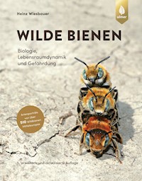 Wilde Bienen - Heinz Wiesbauer - E-Book