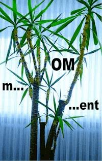 m...OM...ent - Pier Zellin - E-Book