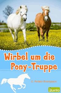 Wirbel um die Pony-Truppe - C. Pullein-Thompson - E-Book