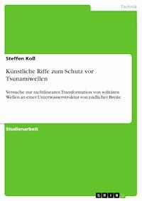 Künstliche Riffe zum Schutz vor Tsunamiwellen - Steffen Koß - E-Book