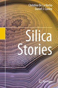 Silica Stories - Christina De La Rocha - E-Book