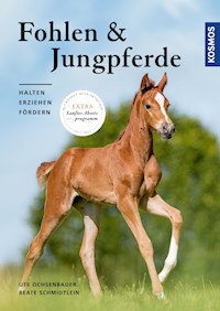 Fohlen und Jungpferde - Ute Ochsenbauer - E-Book