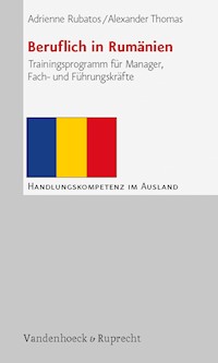 Beruflich in Rumänien - Adrienne Rubatos - E-Book