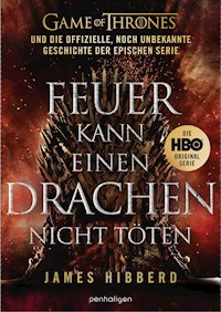 Feuer kann einen Drachen nicht töten - James Hibberd - E-Book