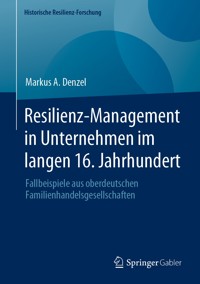 Resilienz-Management in Unternehmen im langen 16. Jahrhundert - Markus A. Denzel - E-Book