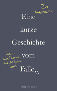 Eine kurze Geschichte vom Fallen – Was ich beim Sterben über das Leben lernte - Joe Hammond - E-Book