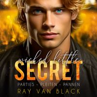 Wicked little Secret - Parties, Pleiten, Pannen: Gay Romance - Ray van Black - Hörbuch