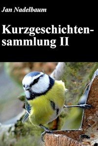 Kurzgeschichtensammlung II - Jan Nadelbaum - E-Book