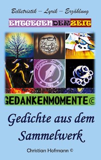 Gedankenmomente - Christian Hofmann - E-Book