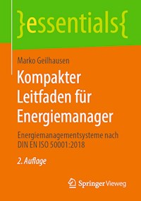 Kompakter Leitfaden für Energiemanager - Marko Geilhausen - E-Book
