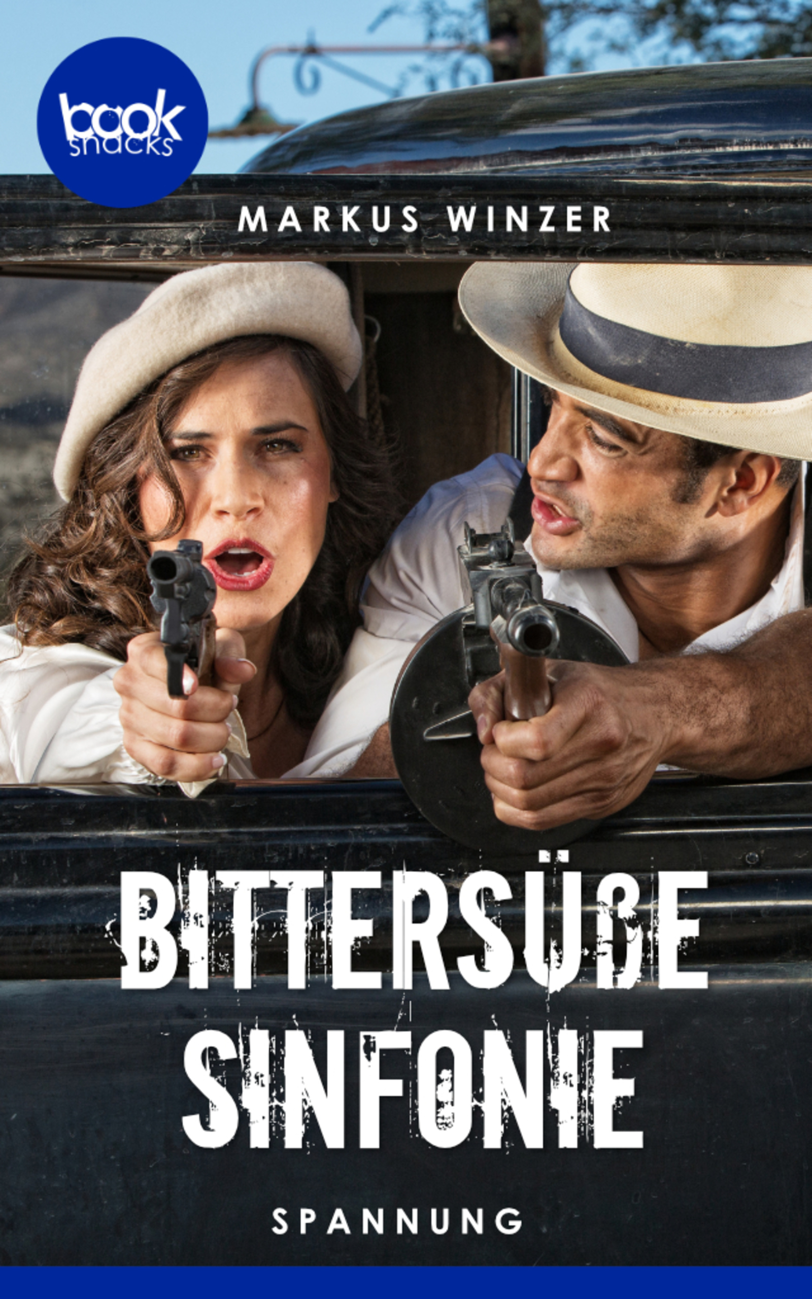 Bittersüße Sinfonie (Kurzgeschichte, Spannung) - Markus Winzer - E-Book