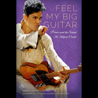 Feel My Big Guitar -  - Hörbuch