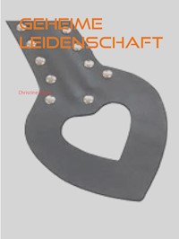 Geheime Leidenschaft - Christine Stutz - E-Book