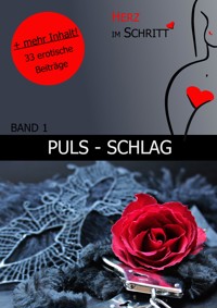 Puls - Schlag - Adriane Haußmann - E-Book