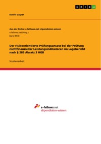 Der risikoorientierte Prüfungsansatz bei der Prüfung nichtfinanzieller Leistungsindikatoren im Lagebericht nach § 289 Absatz 3 HGB - Daniel Caspar - E-Book