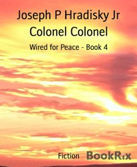 Colonel Colonel - Joseph P Hradisky Jr - E-Book