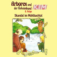 06: Skandal im Mühlbachtal - Erika Immen - Hörbuch