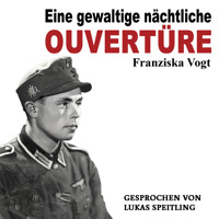 Eine gewaltige nächtliche Ouvertüre - Franziska Vogt - Hörbuch
