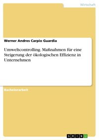 Umweltcontrolling. Maßnahmen für eine Steigerung der ökologischen Effizienz in Unternehmen - Werner Andres Carpio Guardia - E-Book
