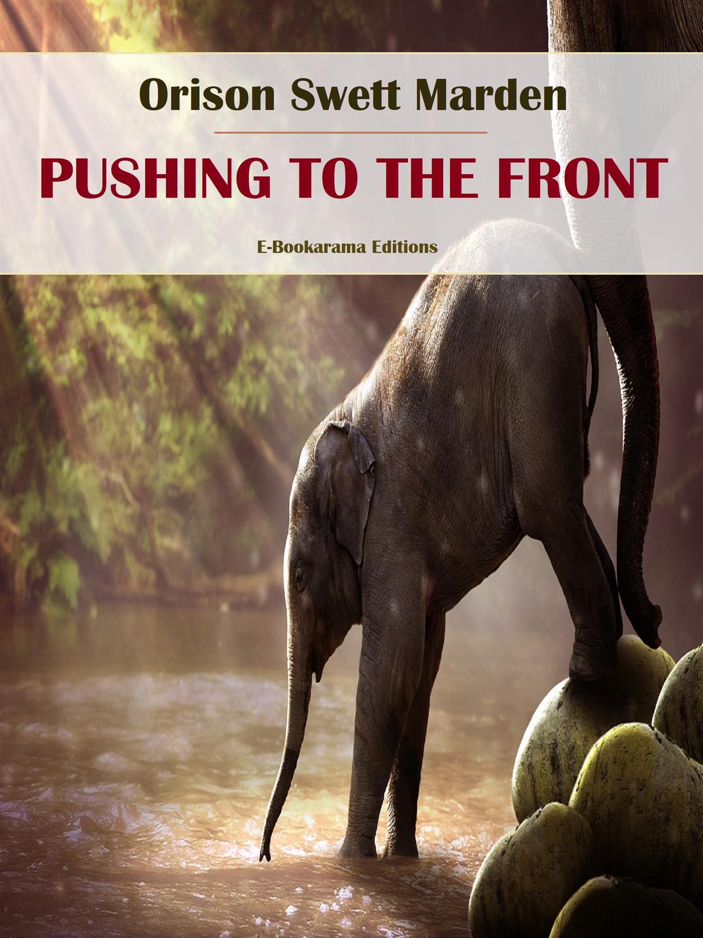 Pushing to the Front - Orison Swett Marden - E-Book