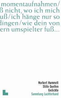 Stille Quellen - Norbert Hummelt - E-Book