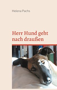 Herr Hund geht nach draußen - Helena Pachs - E-Book