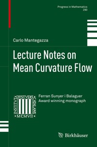 Lecture Notes on Mean Curvature Flow - Carlo Mantegazza - E-Book
