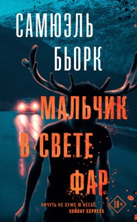 Мальчик в свете фар - Самюэль Бьорк - E-Book