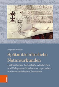 Spätmittelalterliche Notarsurkunden - Magdalena Weileder - E-Book