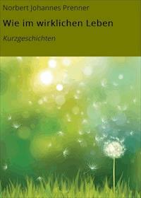 Wie im wirklichen Leben - Norbert Johannes Prenner - E-Book