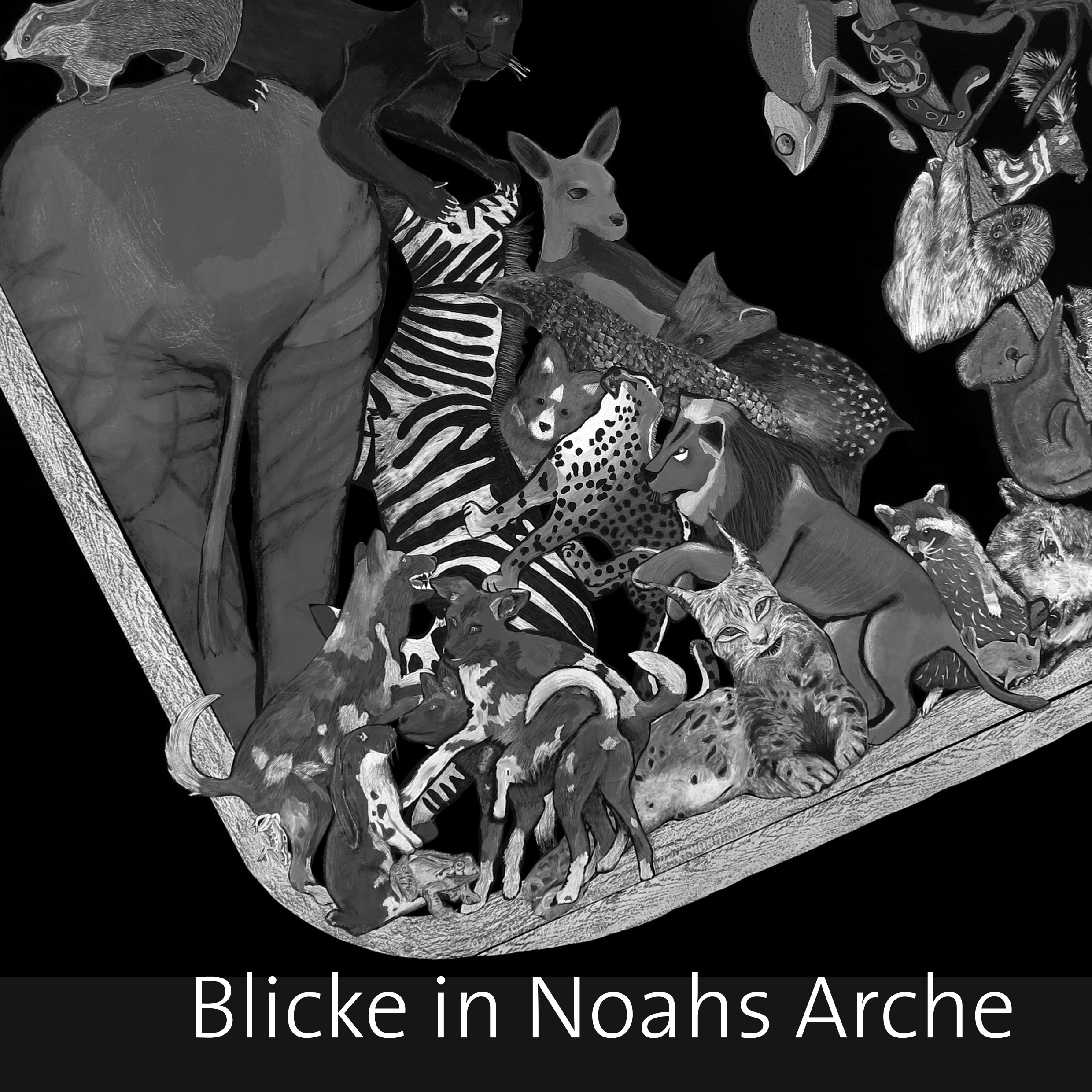 Blicke in Noahs Arche - Florian Söll - E-Book
