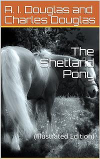 The Shetland Pony - Charles L. Douglas - E-Book
