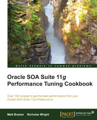 Oracle SOA Suite 11g Performance Tuning Cookbook - Matt Brasier - E-Book