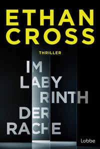 Im Labyrinth der Rache - Ethan Cross - E-Book