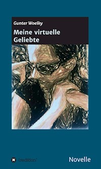 Meine virtuelle Geliebte - Gunter Woelky - E-Book