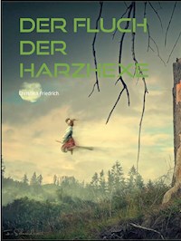 Der Fluch der Harzhexe - Christina Friedrich - E-Book