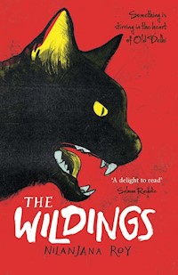 The Wildings - Nilanjana Roy - E-Book