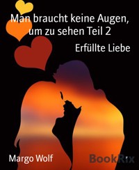 Man braucht keine Augen, um zu sehen Teil 2 - Margo Wolf - E-Book