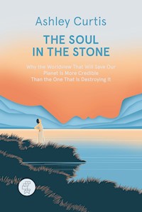The Soul in the Stone - Ashley Curtis - E-Book
