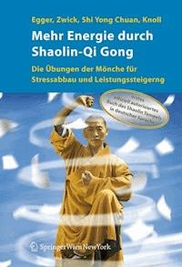 Mehr Energie durch Shaolin-Qi Gong - Robert Egger - E-Book