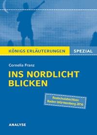 Ins Nordlicht blicken von Cornelia Franz. Königs Erläuterungen Spezial. - Cornelia Franz - E-Book