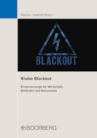 Risiko Blackout - Florian Haacke - E-Book