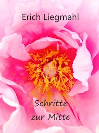 Schritte zur Mitte - Erich Liegmahl - E-Book