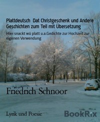 Plattdeutsch  Dat Christgeschenk und Andere Geschichten zum Teil mit Übersetzung - Friedrich Schnoor - E-Book