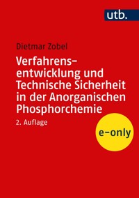 Verfahrensentwicklung und Technische Sicherheit in der Anorganischen Phosphorchemie - Dietmar Zobel - E-Book