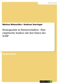 Homogenität in Partnerschaften - Eine empirische Analyse mit den Daten des SOEP - Markus Matuschke - E-Book