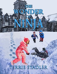 The Wonder of Ninja - Terrie Stadler - E-Book
