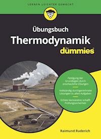 Übungsbuch Thermodynamik für Dummies - Raimund Ruderich - E-Book
