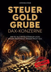 Steuergoldgrube DAX-Konzerne - Stefan Staib - E-Book