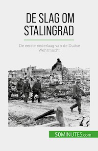 De slag om Stalingrad - Jérémy Rocteur - E-Book